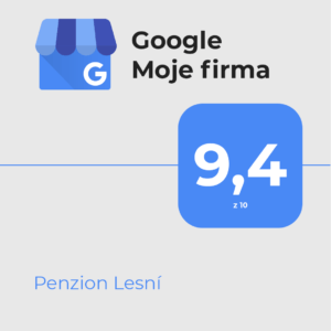 Hodnocení na google moje firma