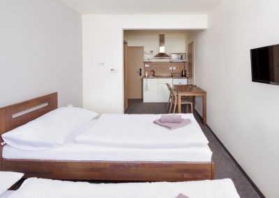 Ubytování - dvoulůžkový pokoj či apartmán