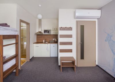 Ubytování - šestilůžkový pokoj či apartmán