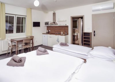 Ubytování Milovice - třílůžkový pokoj či apartmán